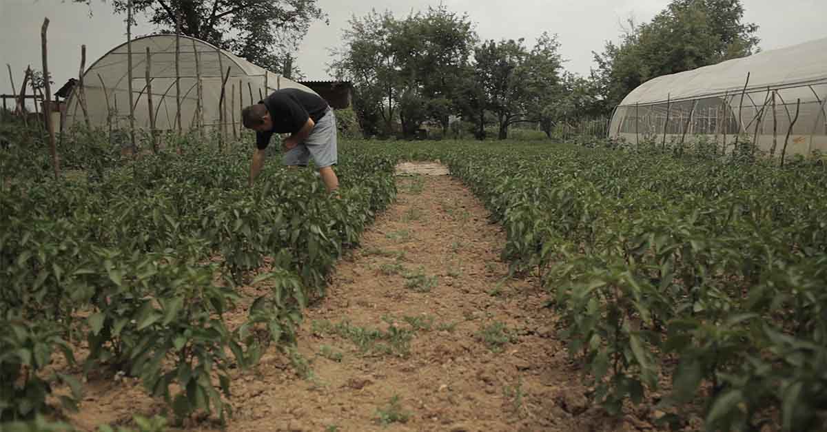 Iowa Film Director Captures Kosovo